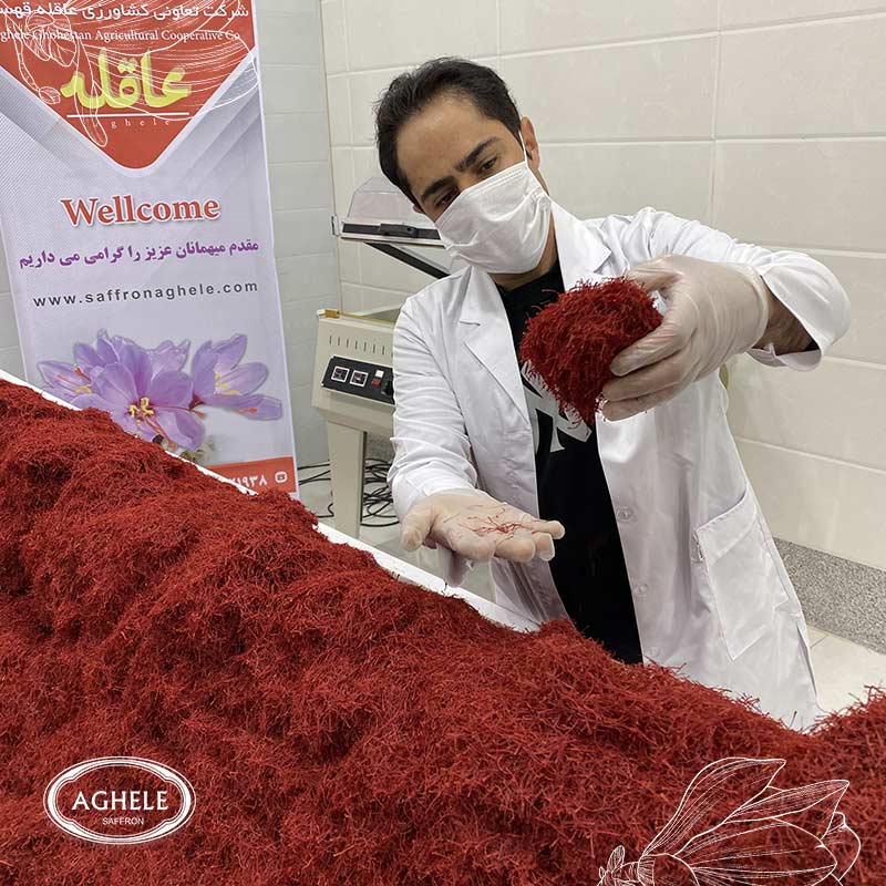 رشد صادرات زعفران- اقای عاقله که زعفران در دست دارند