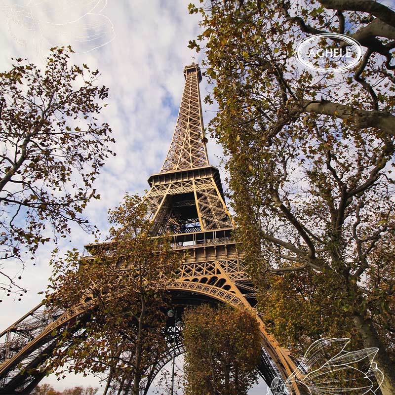 صادرات زعفران به فرانسه. برج ایفل بین درختان