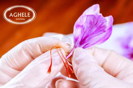 طریقه پاک کردن گل زعفران